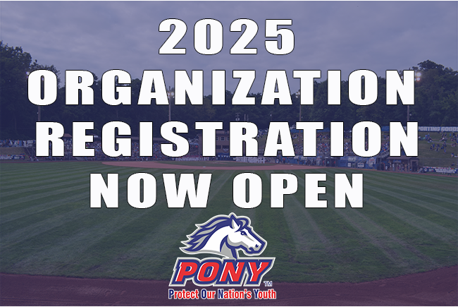  Organization Registration 